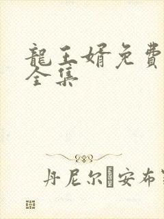 龙王婿免费完结全集