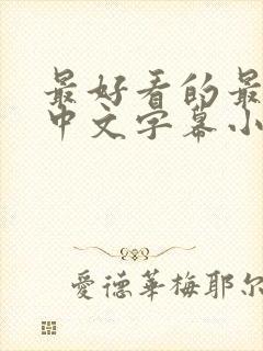 最好看的最新的中文字幕小说