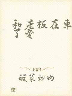 和老板在车里做了爱