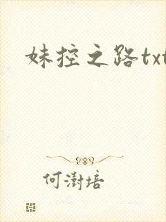 妹控之路txt
