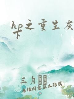 hp之重生灰猊下