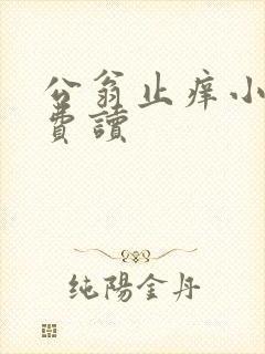 公翁止痒小说免费读