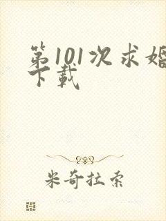 第101次求婚下载