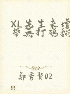 XL先生未增删带无打码翻译
