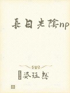 长日光阴np