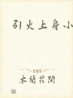 引火上身小说