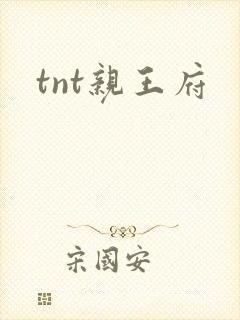 tnt亲王府