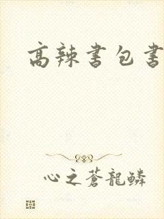 高辣书包书包网
