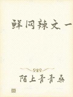 鲜网辣文一对一