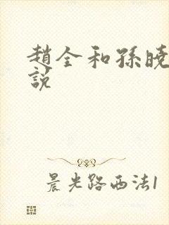 赵全和孙晓云小说