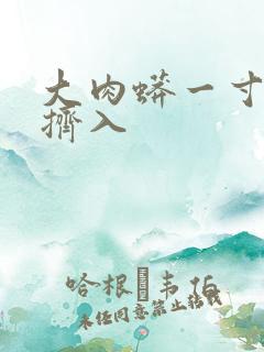 大肉蟒一寸一寸挤入