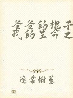 爸爸的棍子顶着我的生命之门