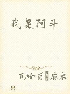 我是阿斗