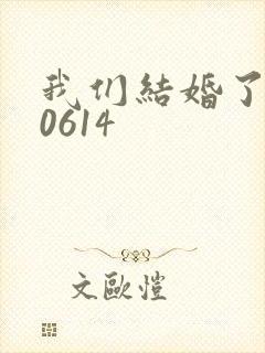 我们结婚了130614