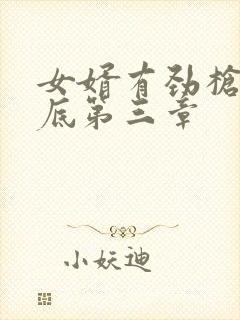 女婿有劲枪枪到底第三章