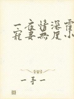 一夜情深霍先生宠妻无度小说免费阅读