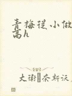 青梅从小做到大高h