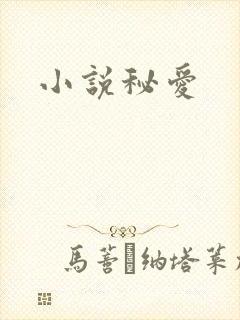 小说秘爱