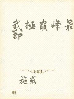 武极巅峰最新章节