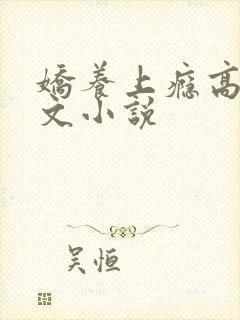 娇养上瘾高H爽文小说