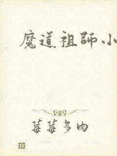 魔道祖师小说