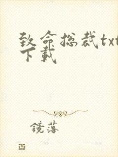 致命总裁txt下载