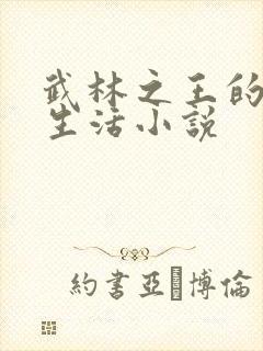 武林之王的退隐生活小说