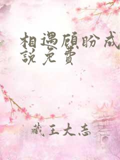 相遇顾盼成欢小说免费