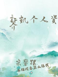 许凯个人资料简介