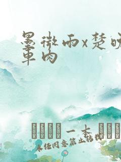 墨微雨x楚晚宁车肉
