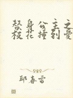 替身公主之杀手校花撞到爱