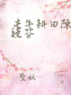 老牛耕田陈雪杨晓芬