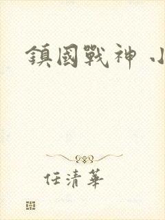 镇国战神 小说