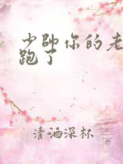 少帅你的老婆又跑了