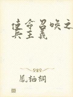 使命召唤之大炮兵主义