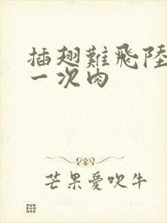 插翅难飞陆进第一次肉