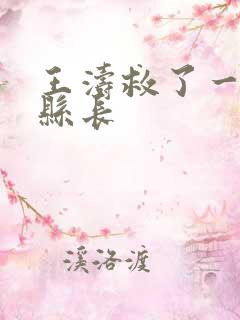 王涛救了一个女县长