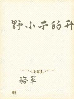 野小子的升官路