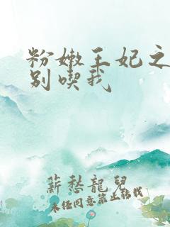 粉嫩王妃之殿下别吃我