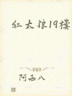 红太狼19楼