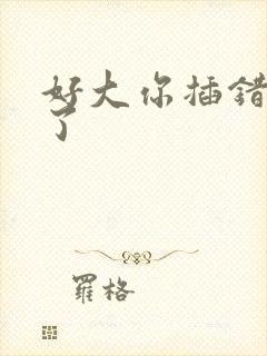 好大你插错地方了