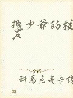 拽少爷的校花女友