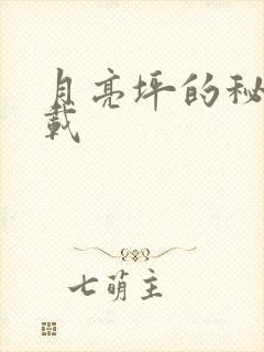 月亮坪的秘密下载