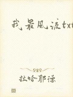 我最风流txt