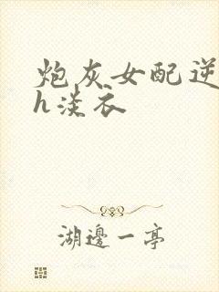 炮灰女配逆袭记h淡衣