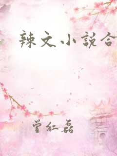 辣文小说合集