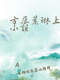 方辰叶琳上官步小说