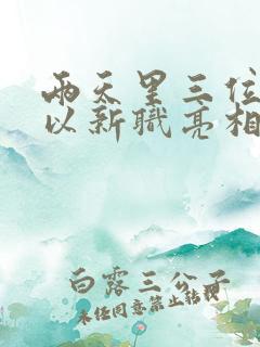 两天里三位将军以新职亮相