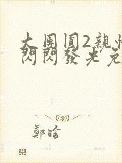 大团圆2亲情会闪闪发光免费