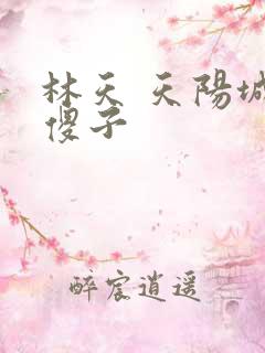 林天 天阳城 傻子